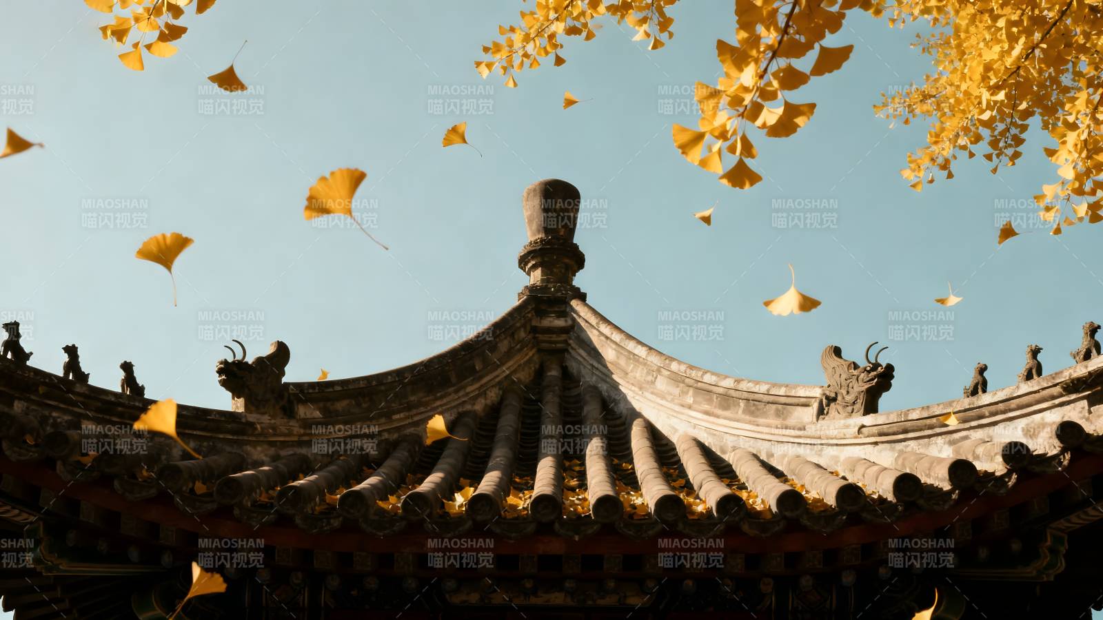 秋叶飘飞古檐下图片