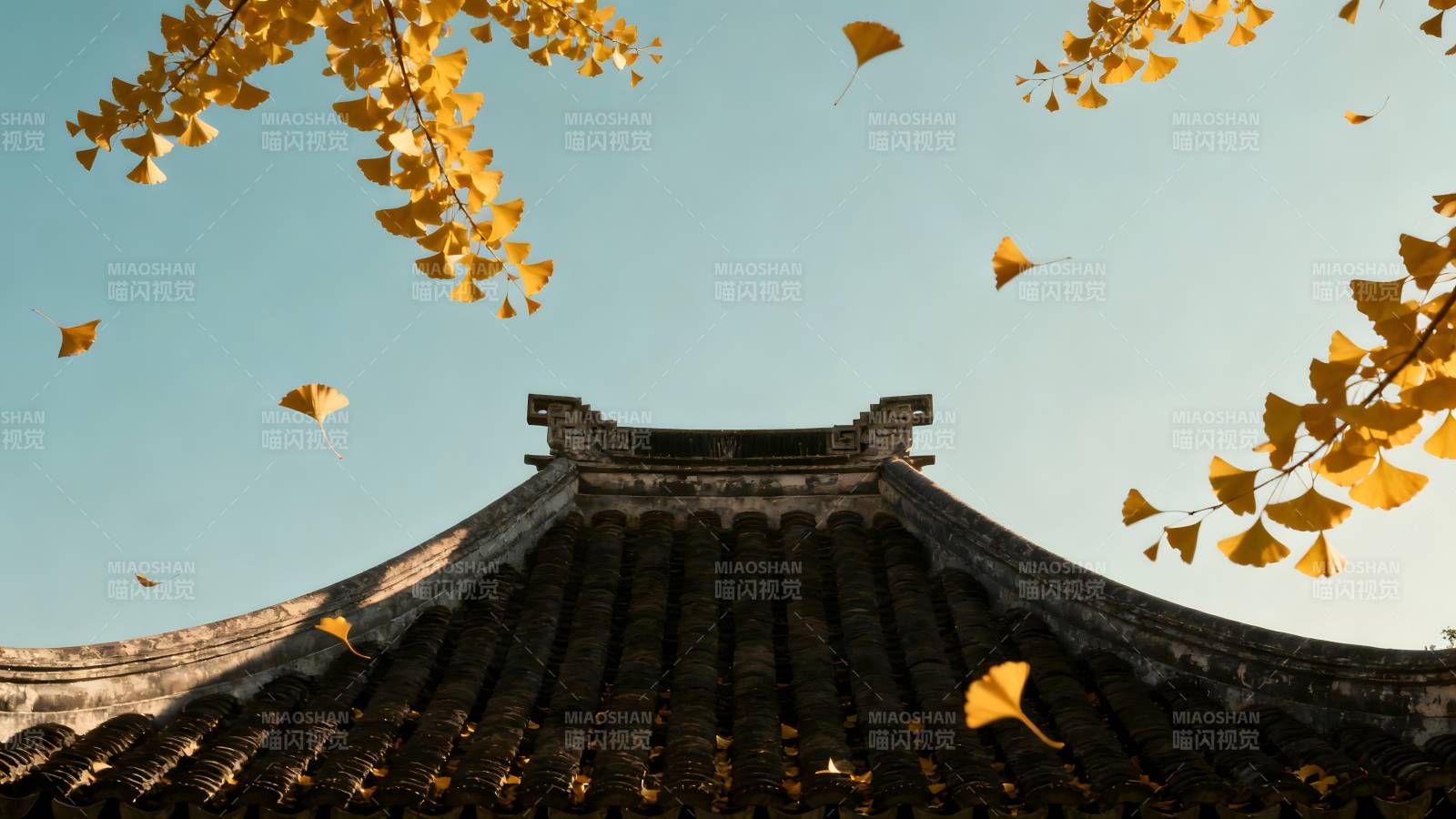 秋叶飘飞古檐下图片