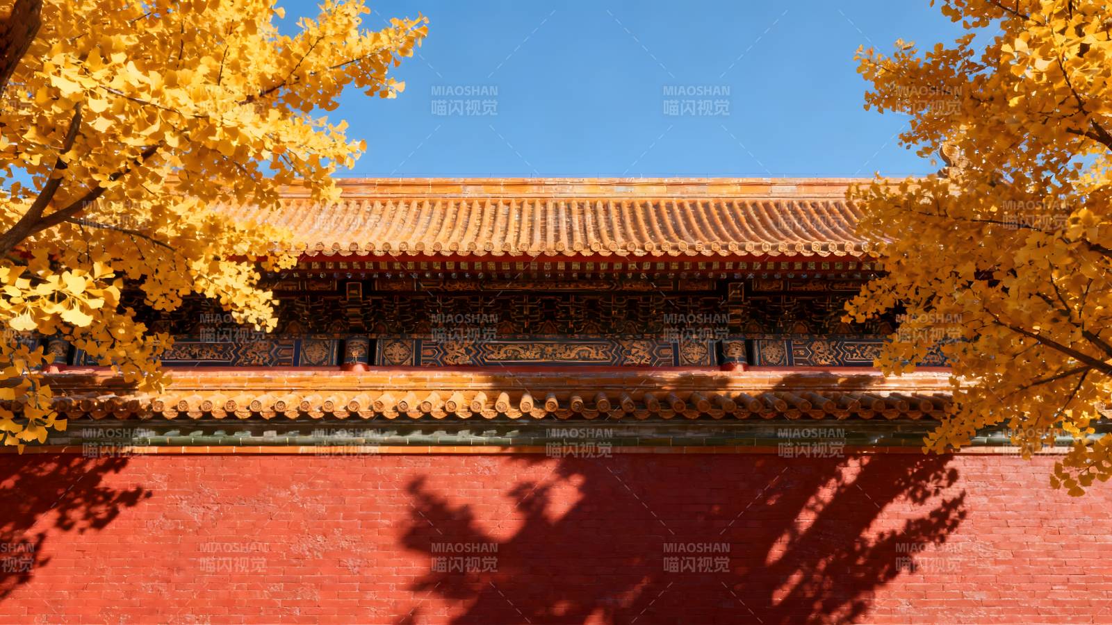 秋色中的古建筑图片