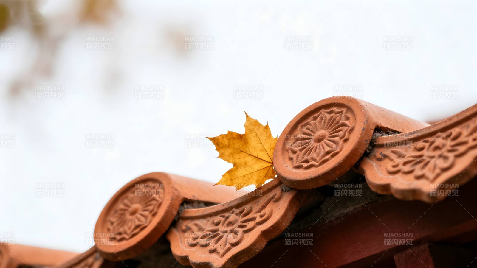 秋叶栖瓦檐图片