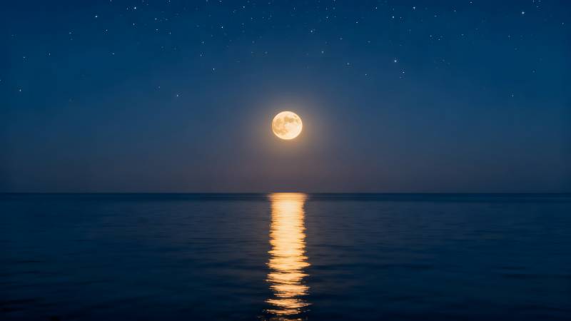 月光海面静谧夜图片