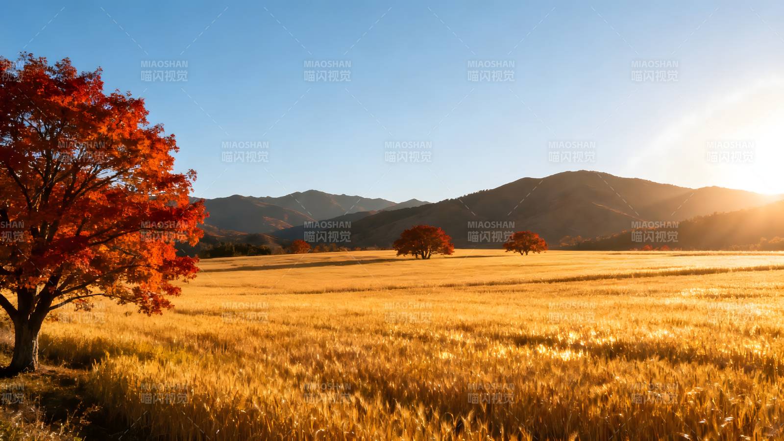 秋日田野风光图片