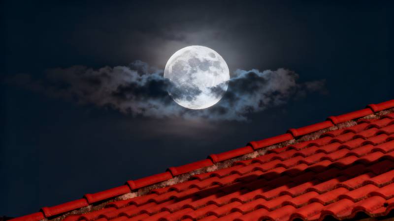 月照红瓦夜图片