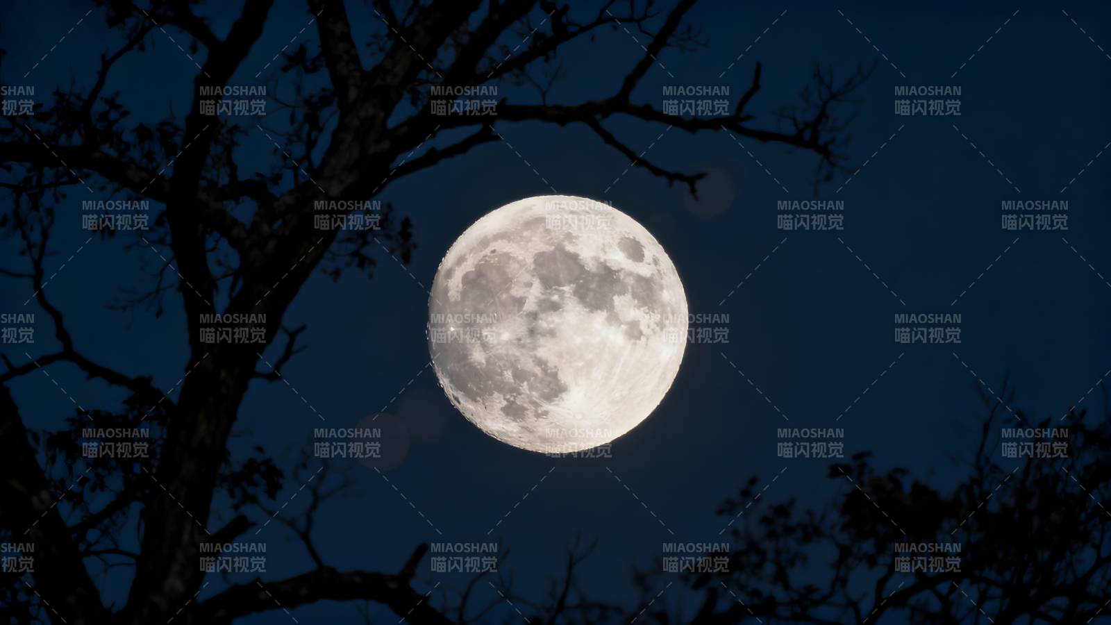 明月高悬夜空图片