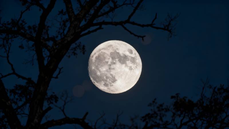 明月高悬夜空图片