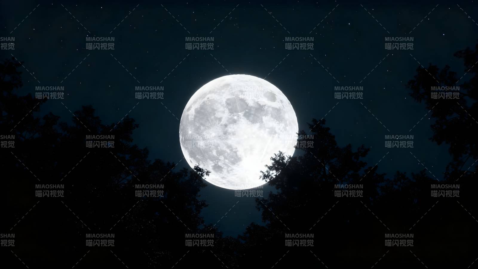 明月当空照图片