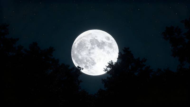 明月当空照图片