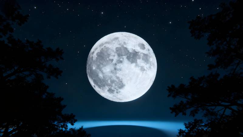 明月高悬夜空图片