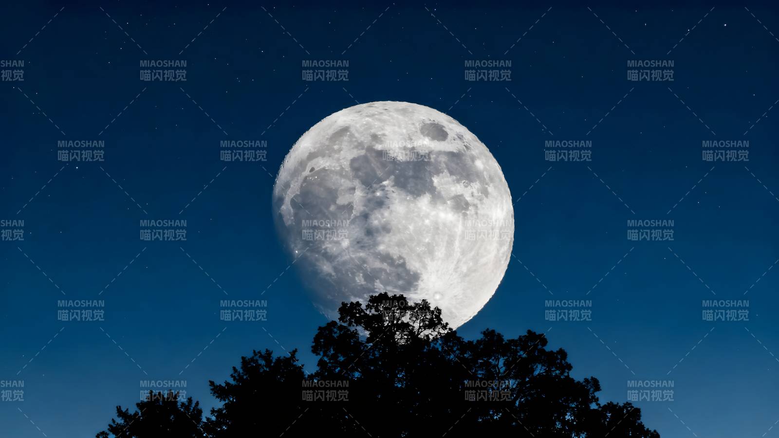 明月高悬夜空图片