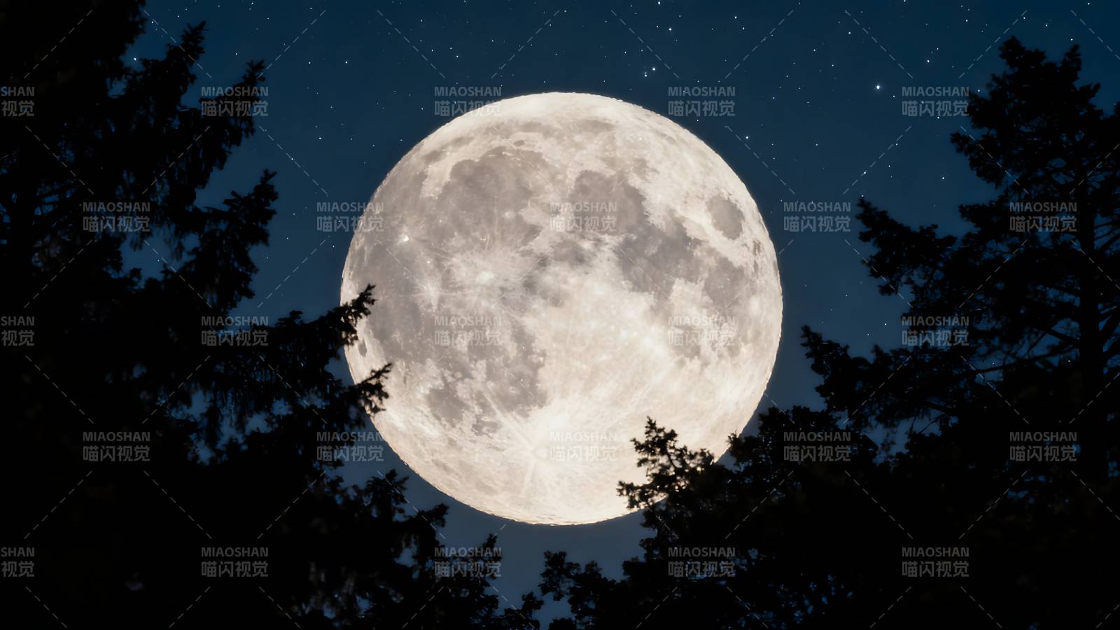 明月高悬夜空图片