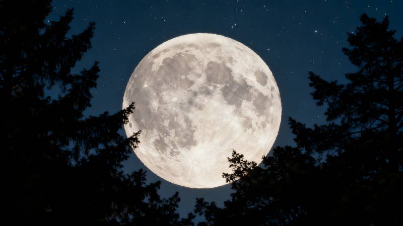 明月高悬夜空图片