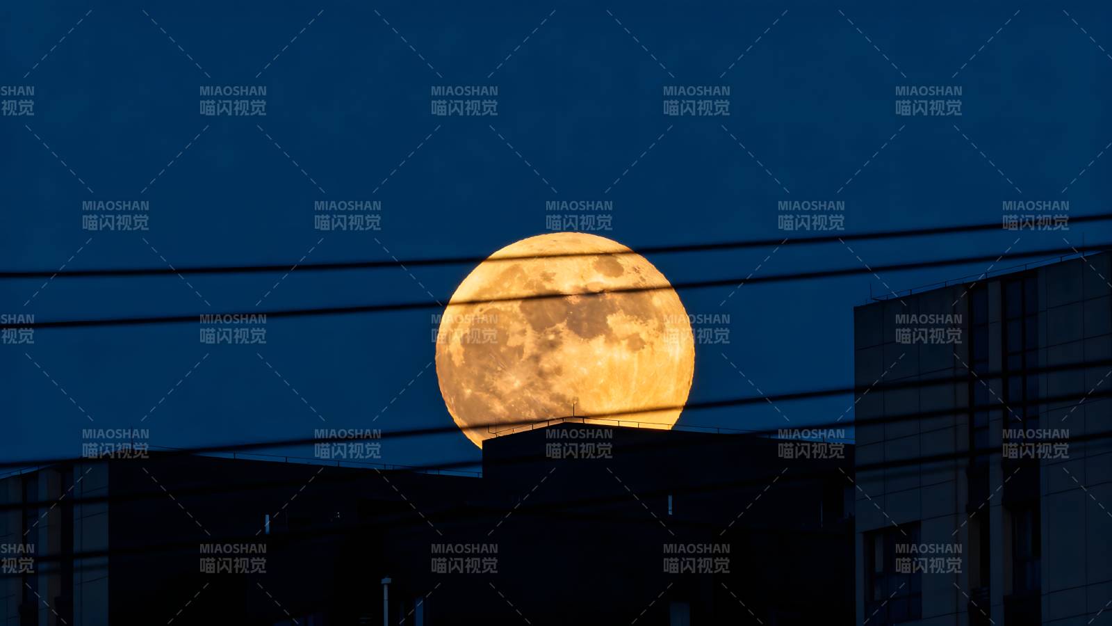 满月升空夜景图片