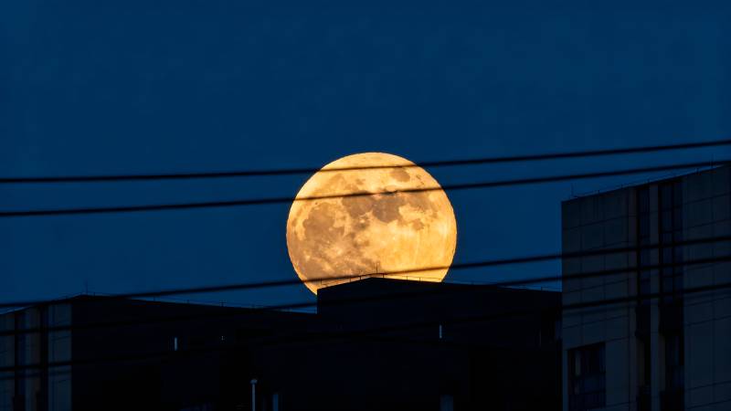 满月升空夜景图片