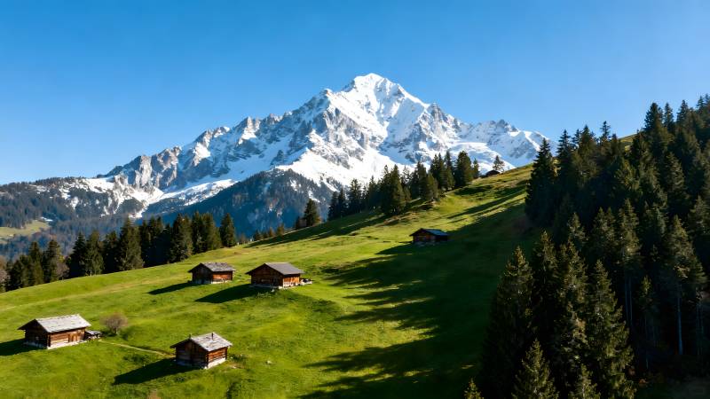 雪山下的田园风光图片
