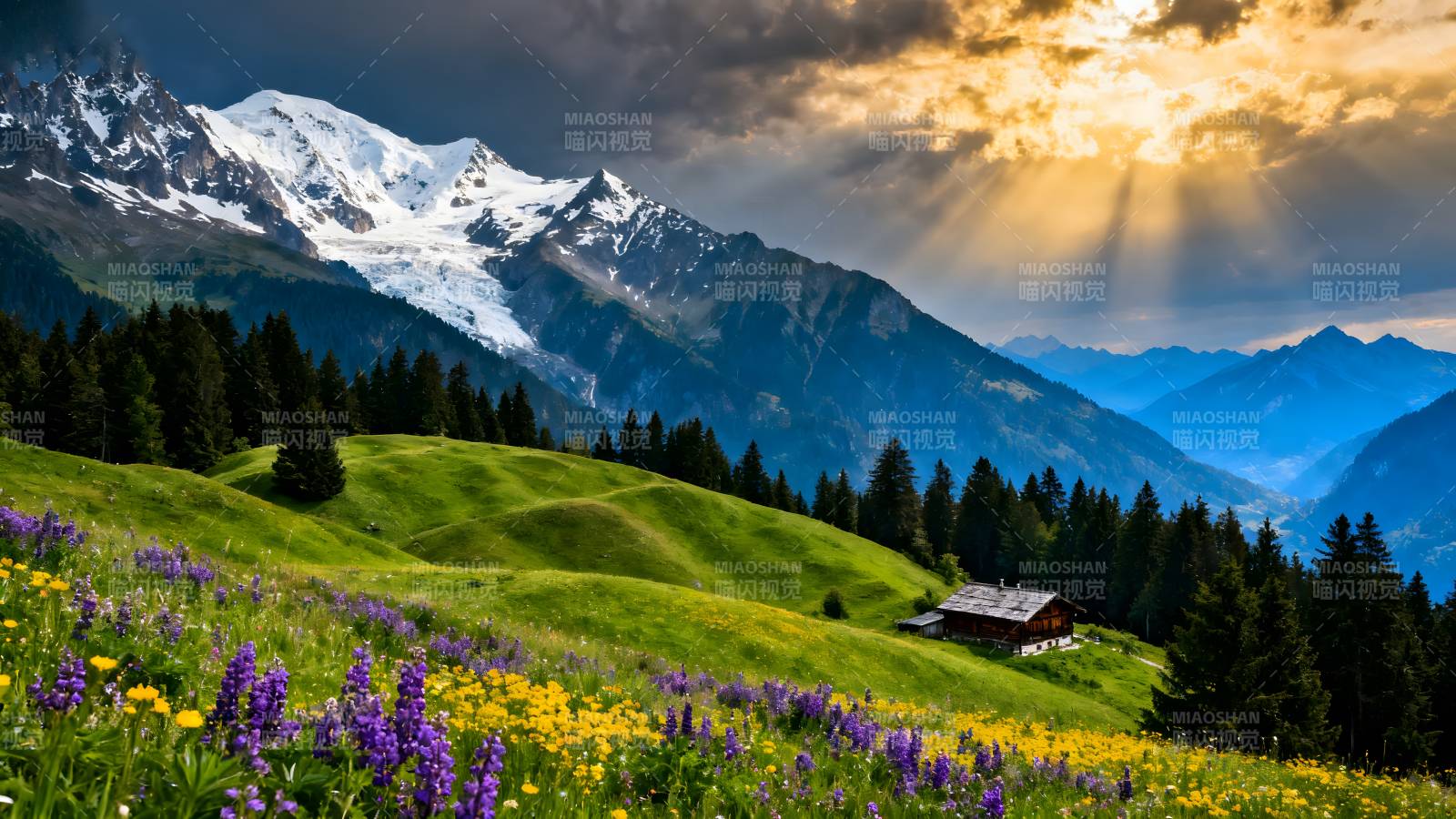 雪山花海风光图片