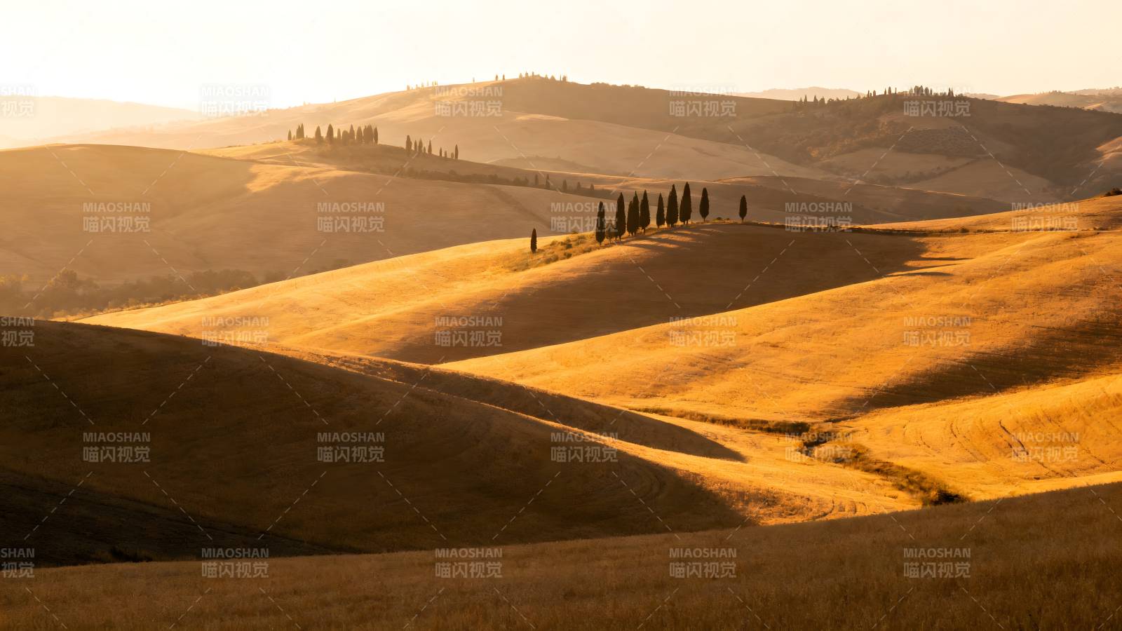 金色丘陵晨曦图片