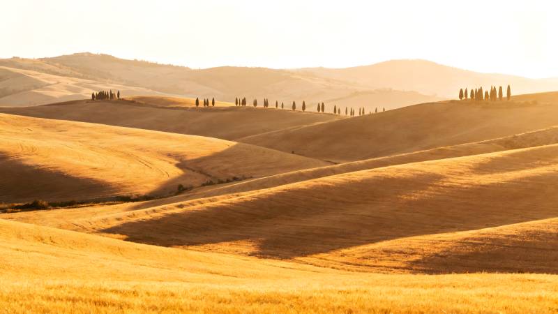 金黄丘陵晨曦图片