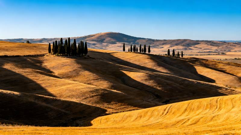 金秋丘陵风光图片