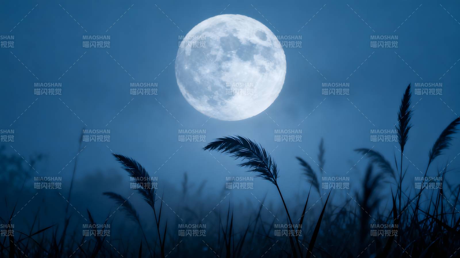 月夜草影图片