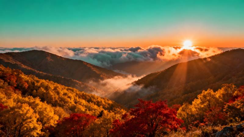 秋山日出云海图片