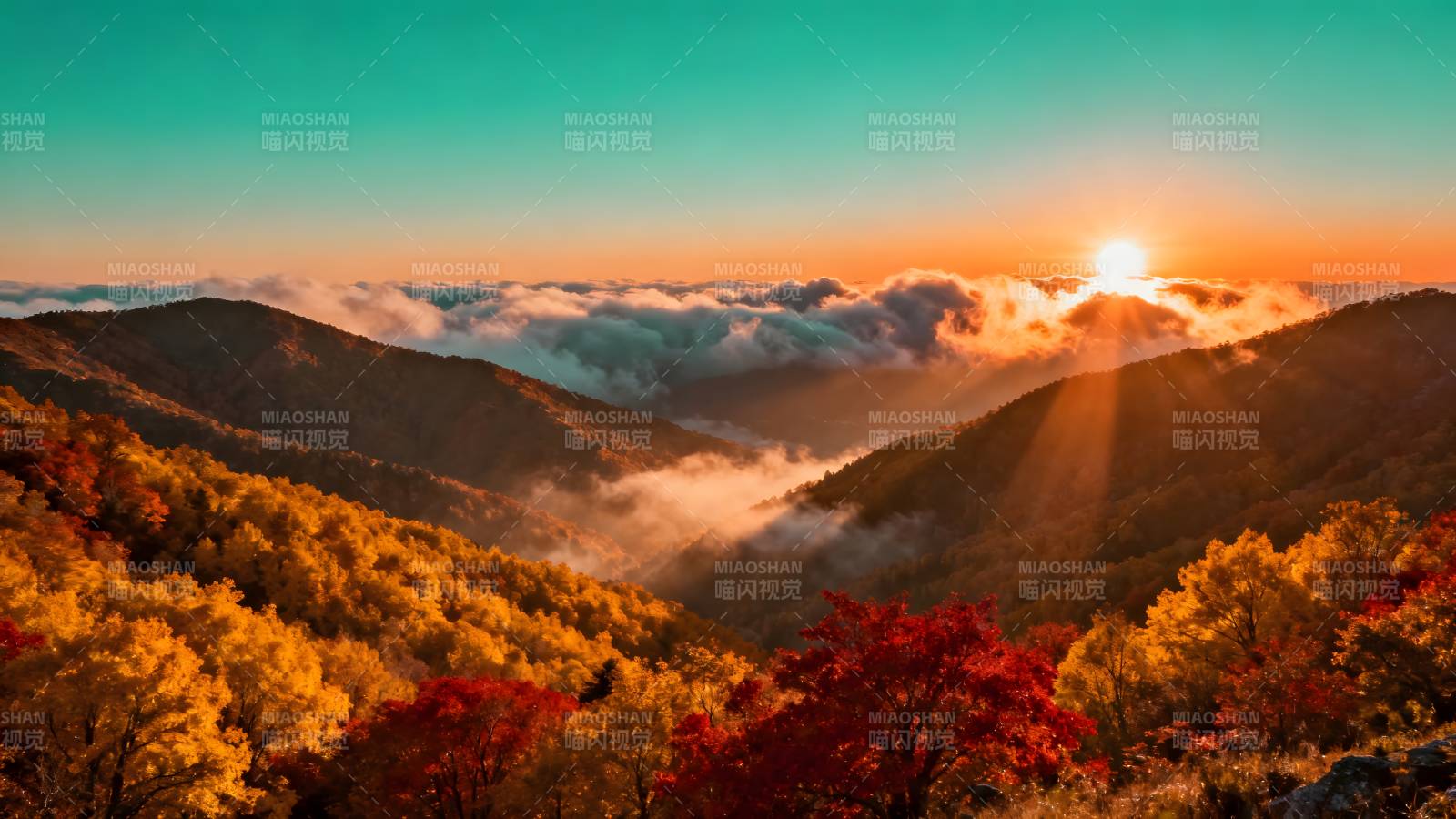 秋山日出云海图片