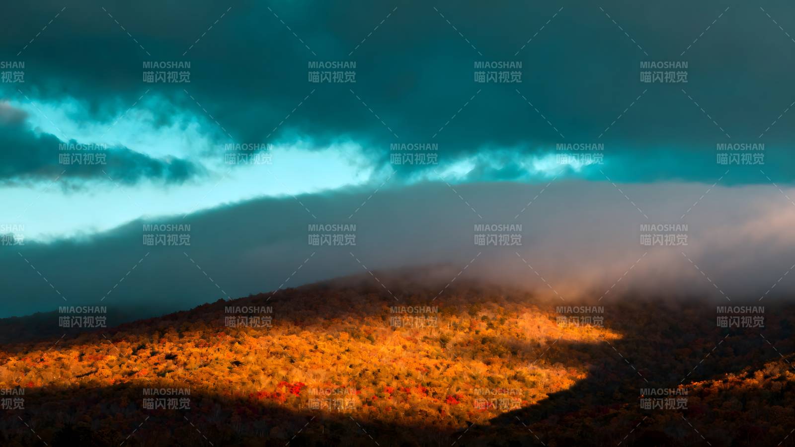 云海映山光图片