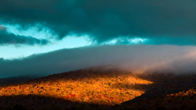 云海映山光图片