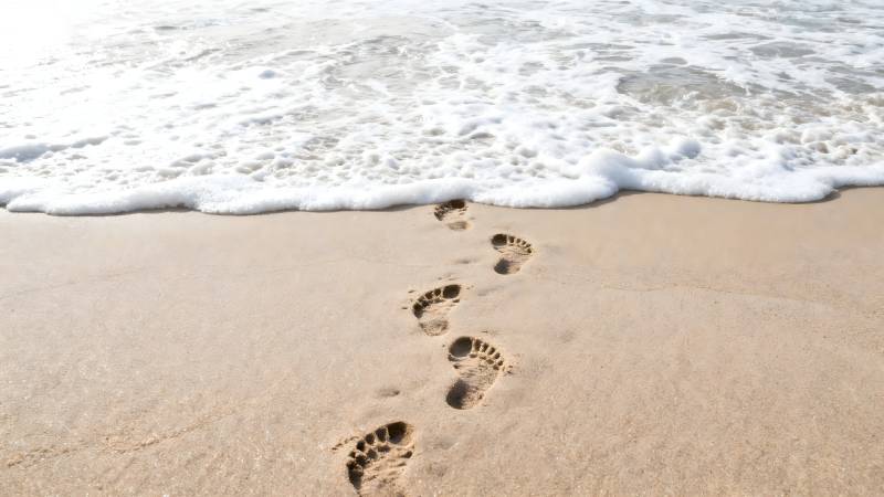 海边足迹图片