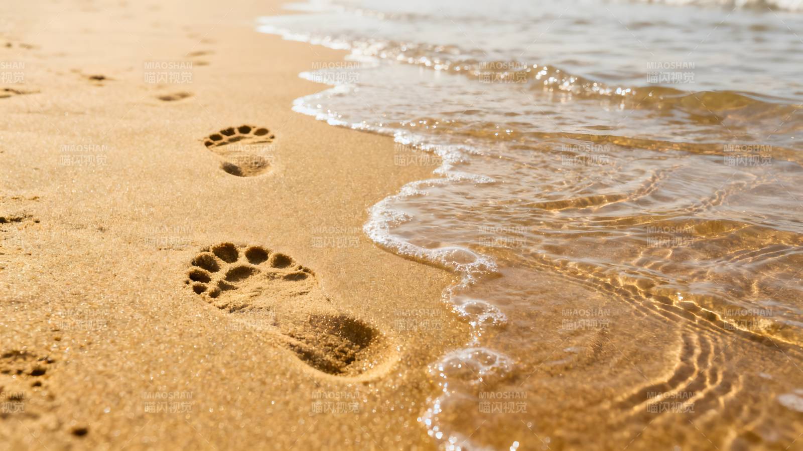 沙滩上的足迹图片