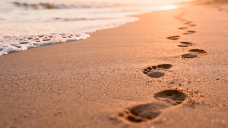 沙滩足迹夕阳下图片