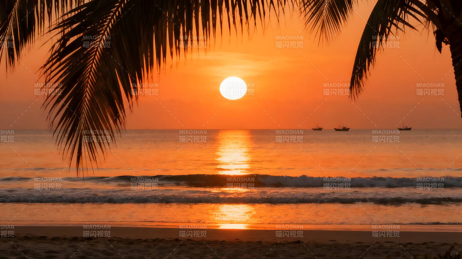 椰影夕阳海景图片