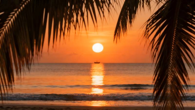 椰影夕阳海景图片