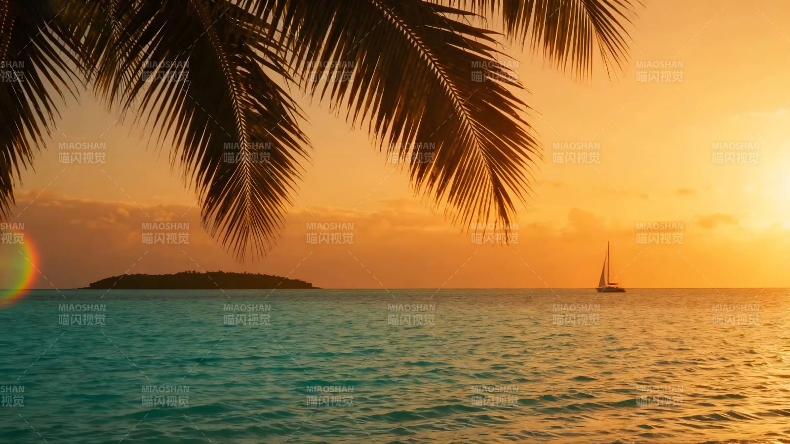 椰影帆影夕阳美图片