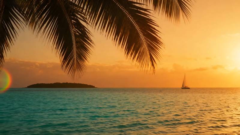 椰影帆影夕阳美图片