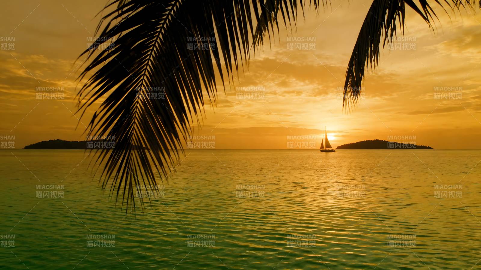 椰影夕阳海景图片