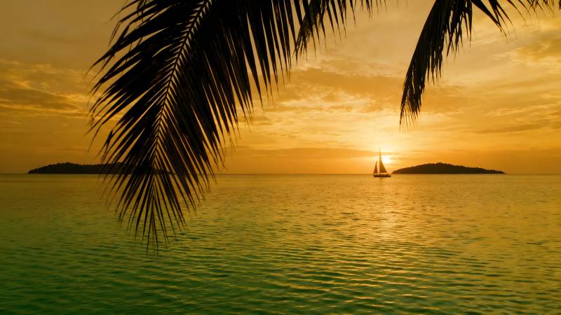 椰影夕阳海景图片