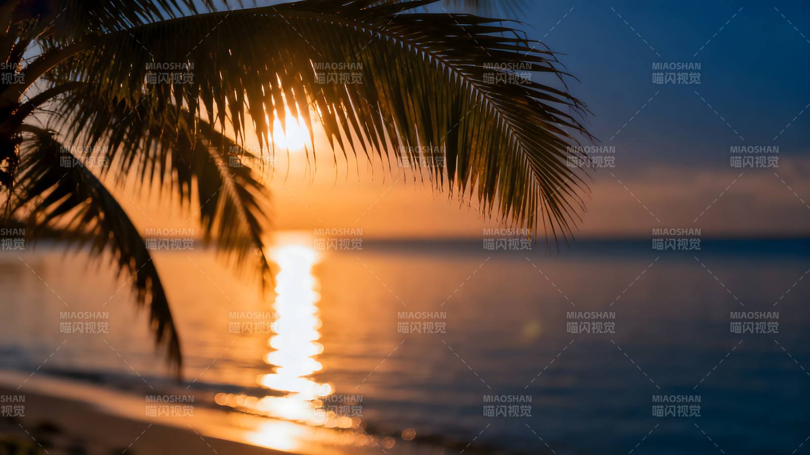椰影夕阳海图片