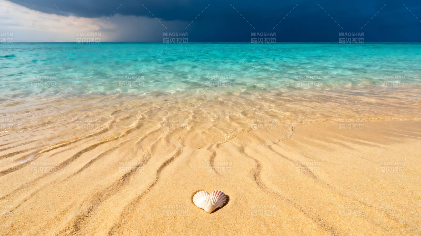 沙滩上的贝壳图片