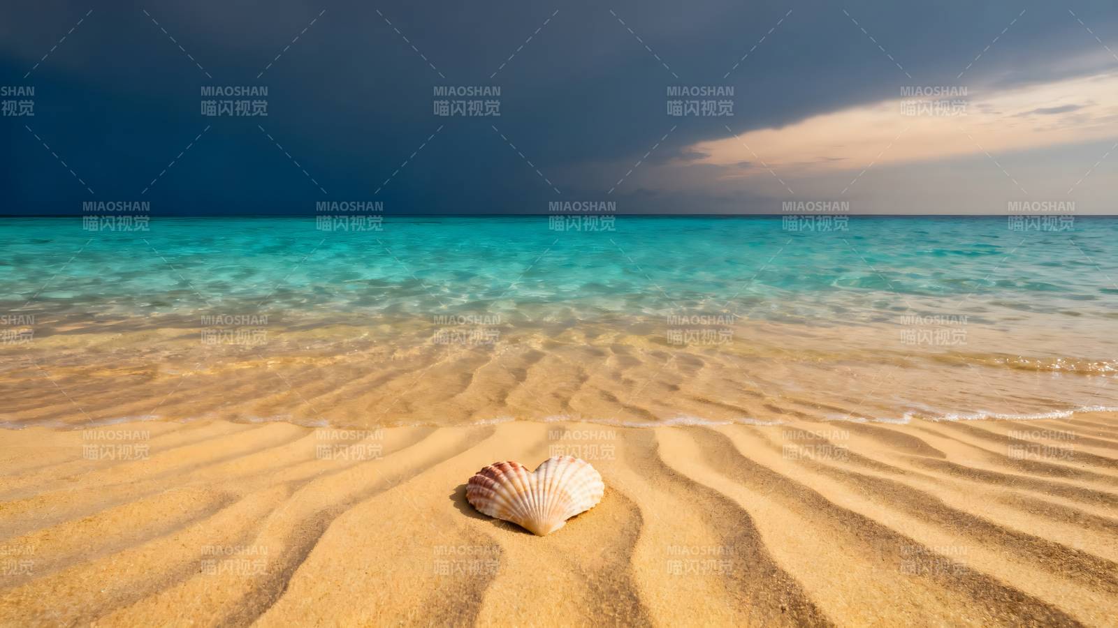 沙滩上的贝壳图片