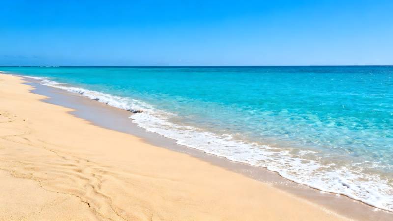 碧海金沙 美景如画图片