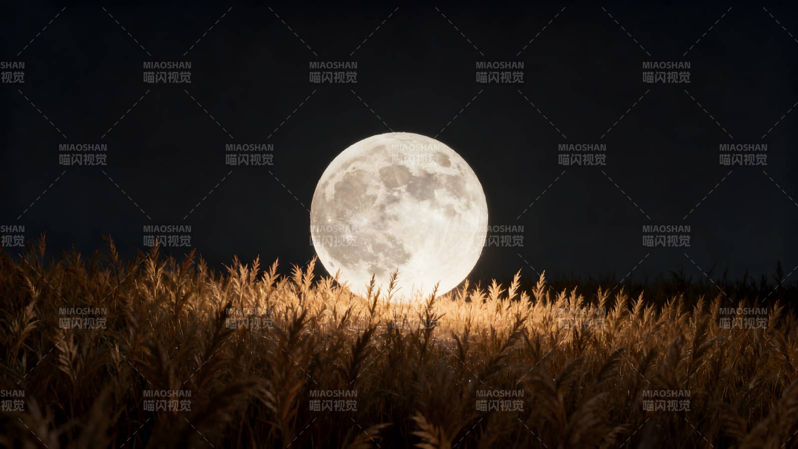 月升麦田夜图片