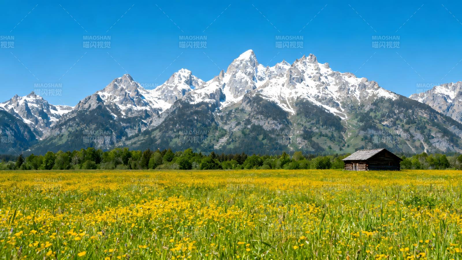 雪山花海小屋图片
