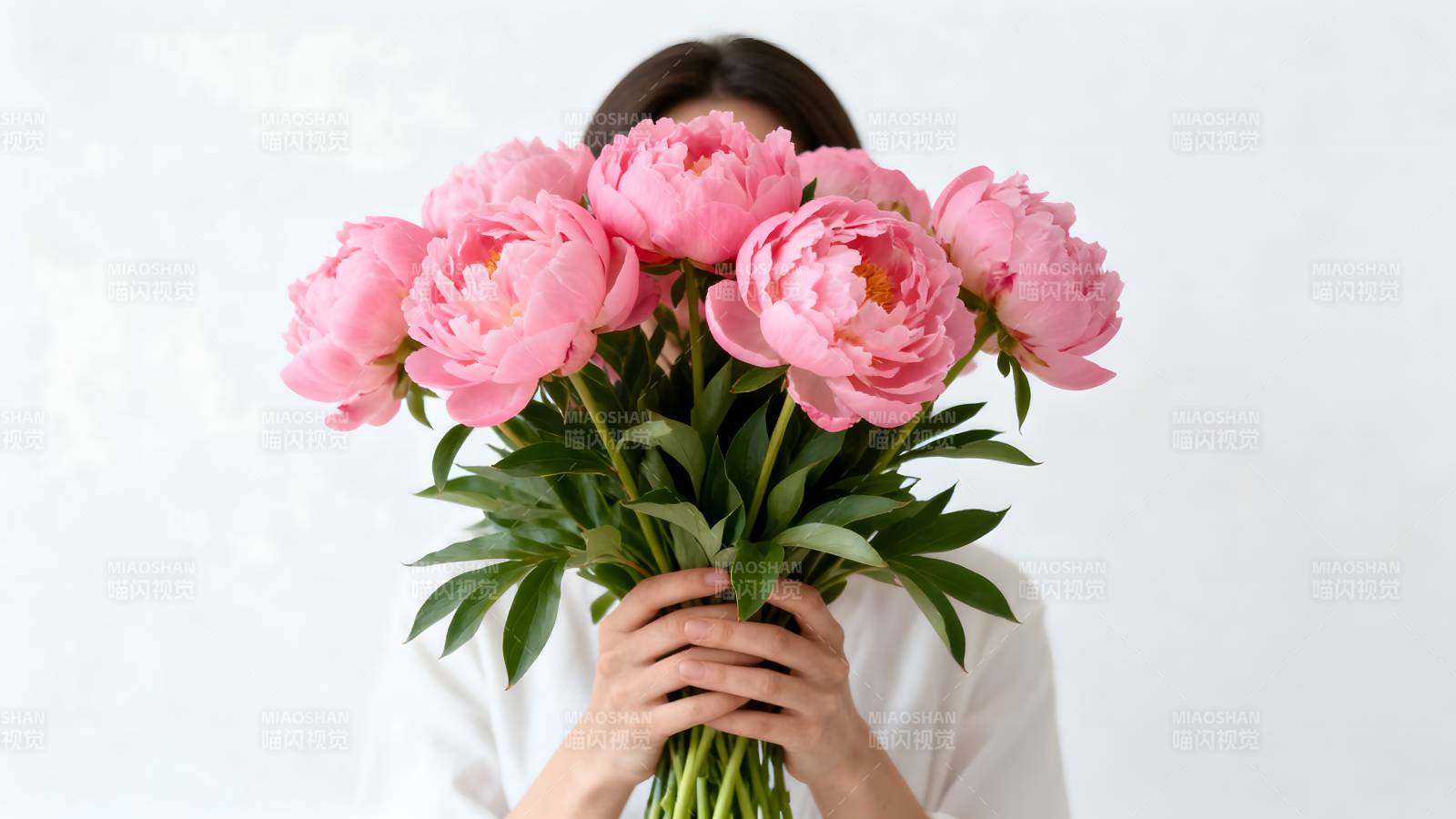 花语 粉红牡丹图片