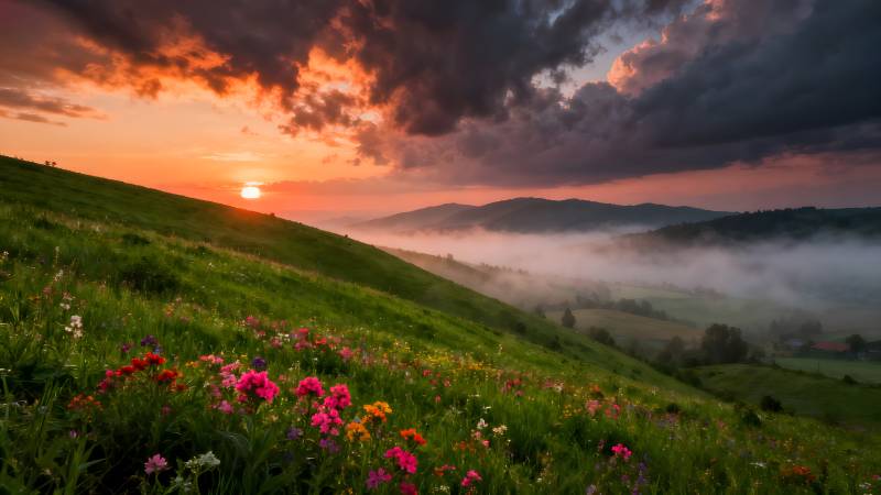 花海日出云雾山图片