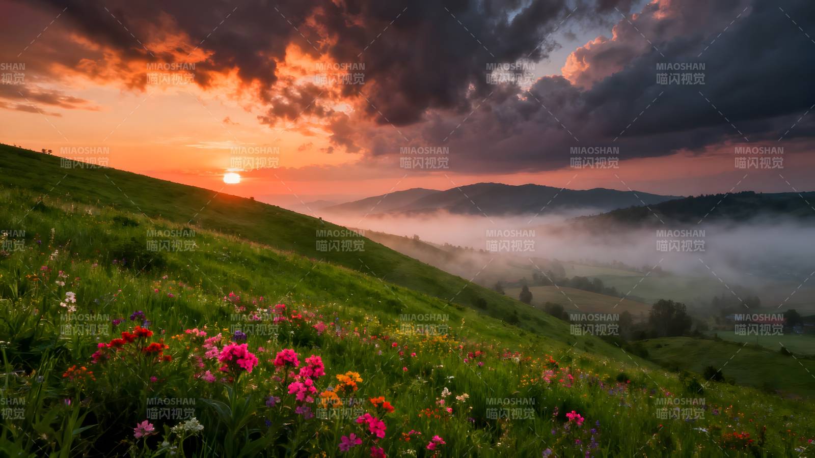 花海日出云雾山图片