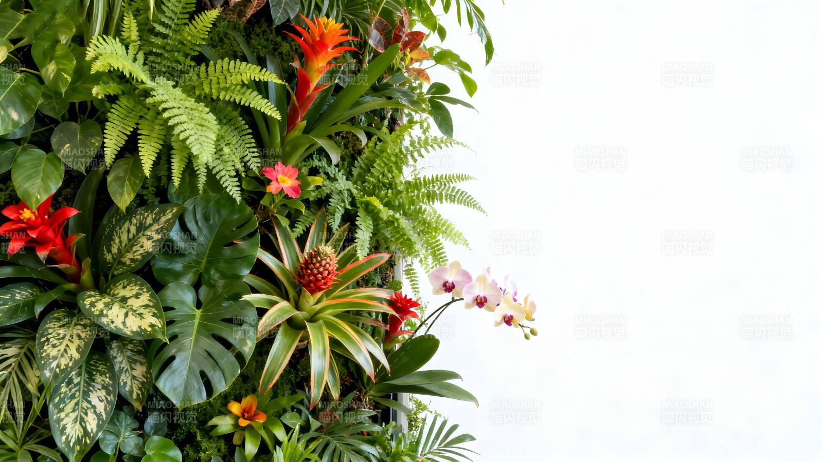 绿植墙花艺展示图片