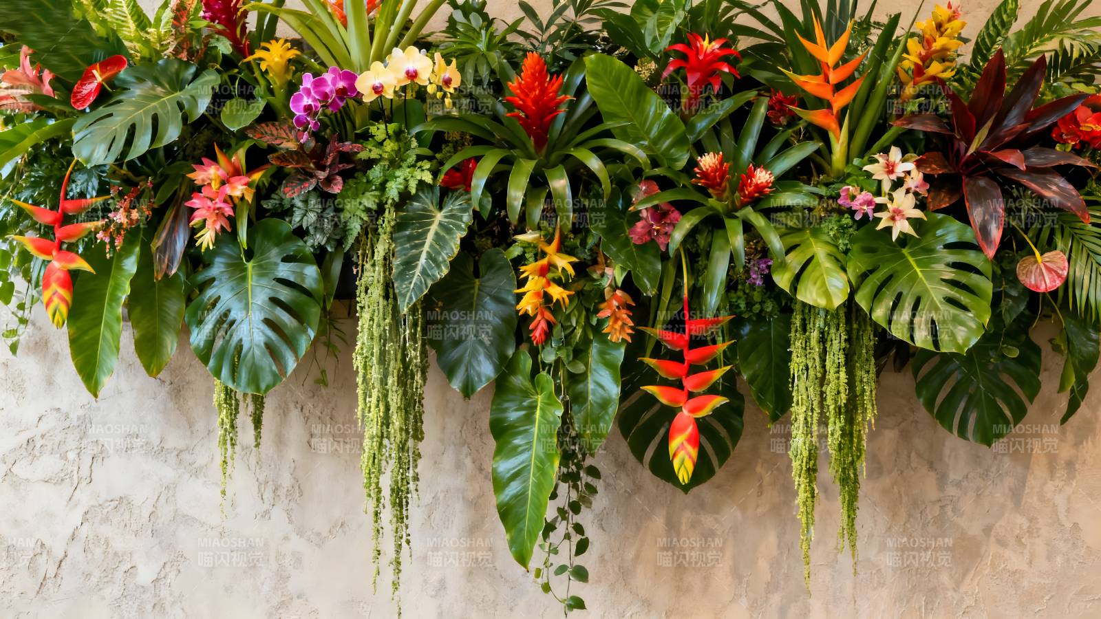 热带花墙生机盎然图片