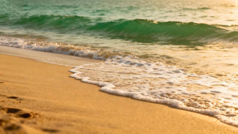 金色沙滩与海浪图片