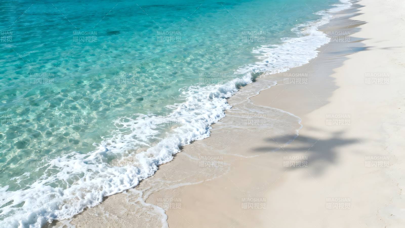 碧海白沙 椰影轻摇图片