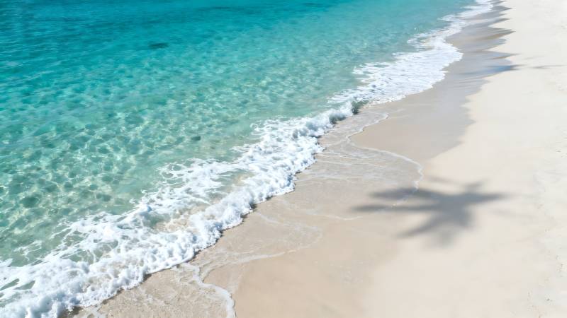 碧海白沙 椰影轻摇图片